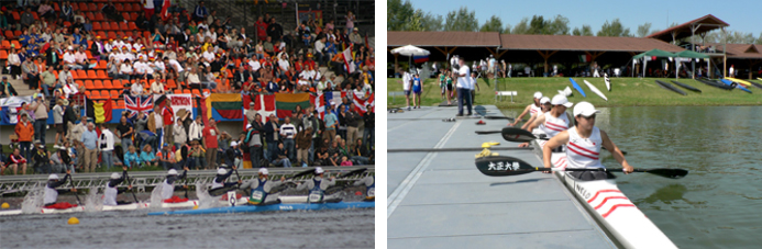 日本ファンクショナルダイエット協会