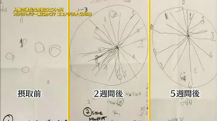 日本ファンクショナルダイエット協会