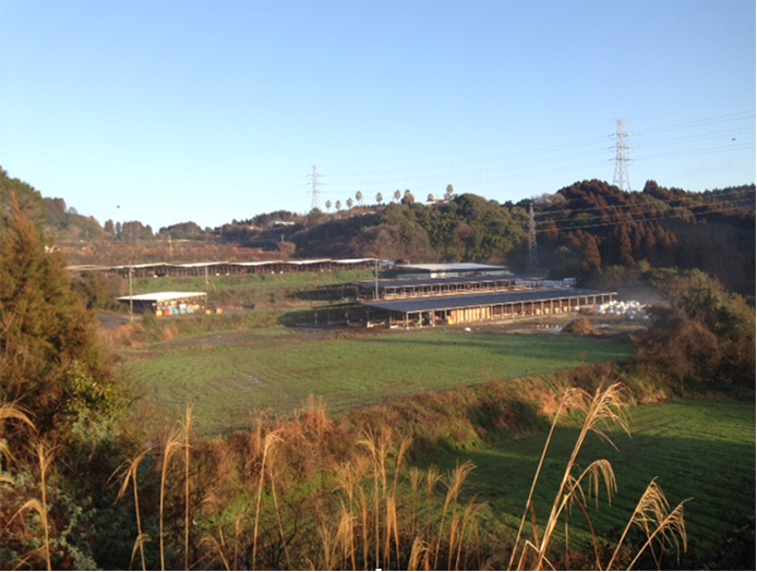 日本ファンクショナルダイエット協会