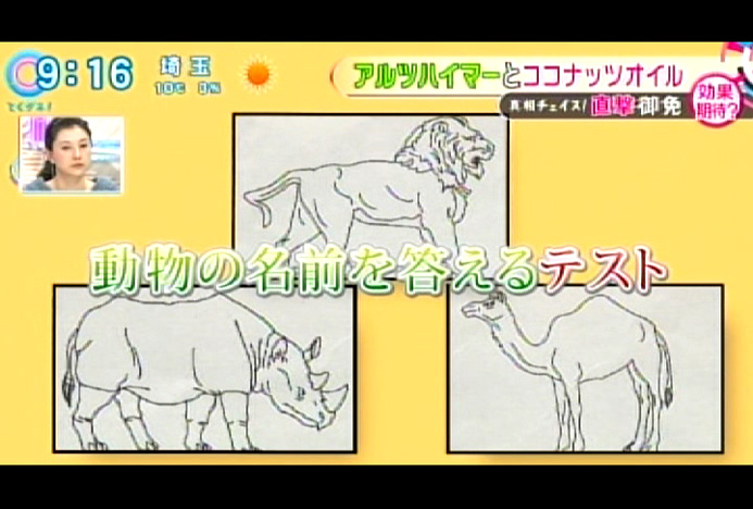 日本ファンクショナルダイエット協会